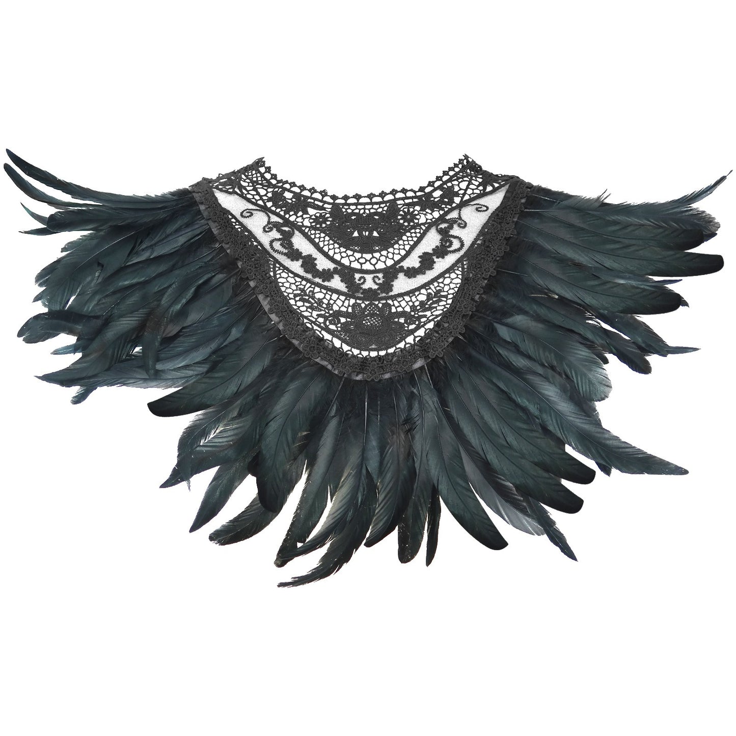 Black Feathered Shawl