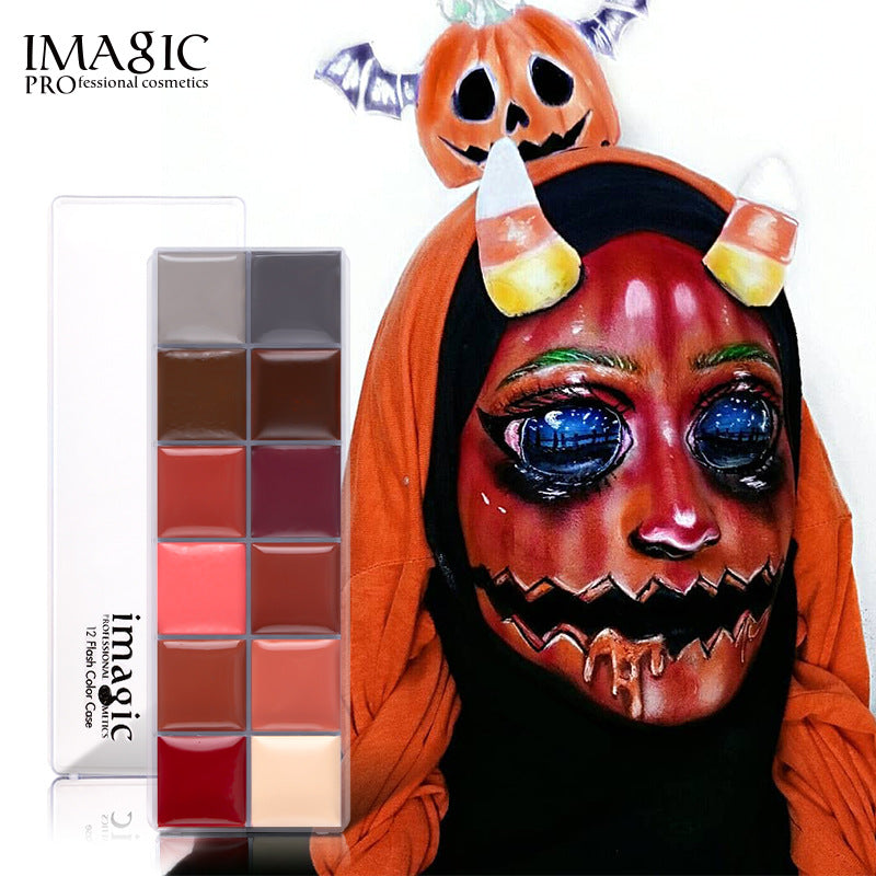 IMAGIC 12 Color Oil Paint