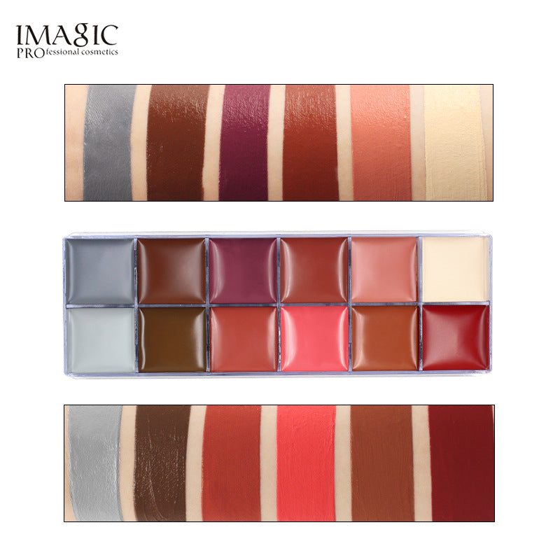 IMAGIC 12 Color Oil Paint
